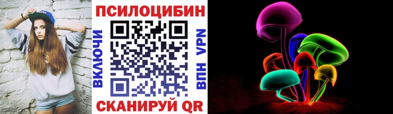 продажа наркотиков  Тайшет  Псилоцибиновые грибы Psilocybe 